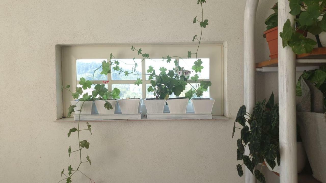Apartament La Curtea Argeseana Valea Iasului Zewnętrze zdjęcie